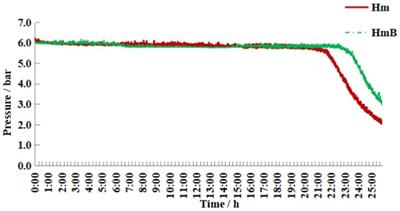 Study on the lipid and flavor compounds of Hibiscus manihot L. oil induced by different pressing method